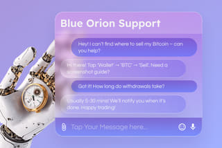 Customer support and professional crypto assistance at Baron Vaultholm